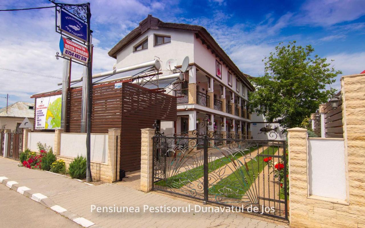Pensiunea Pestisorul Dunavăţu de Jos 외부 사진