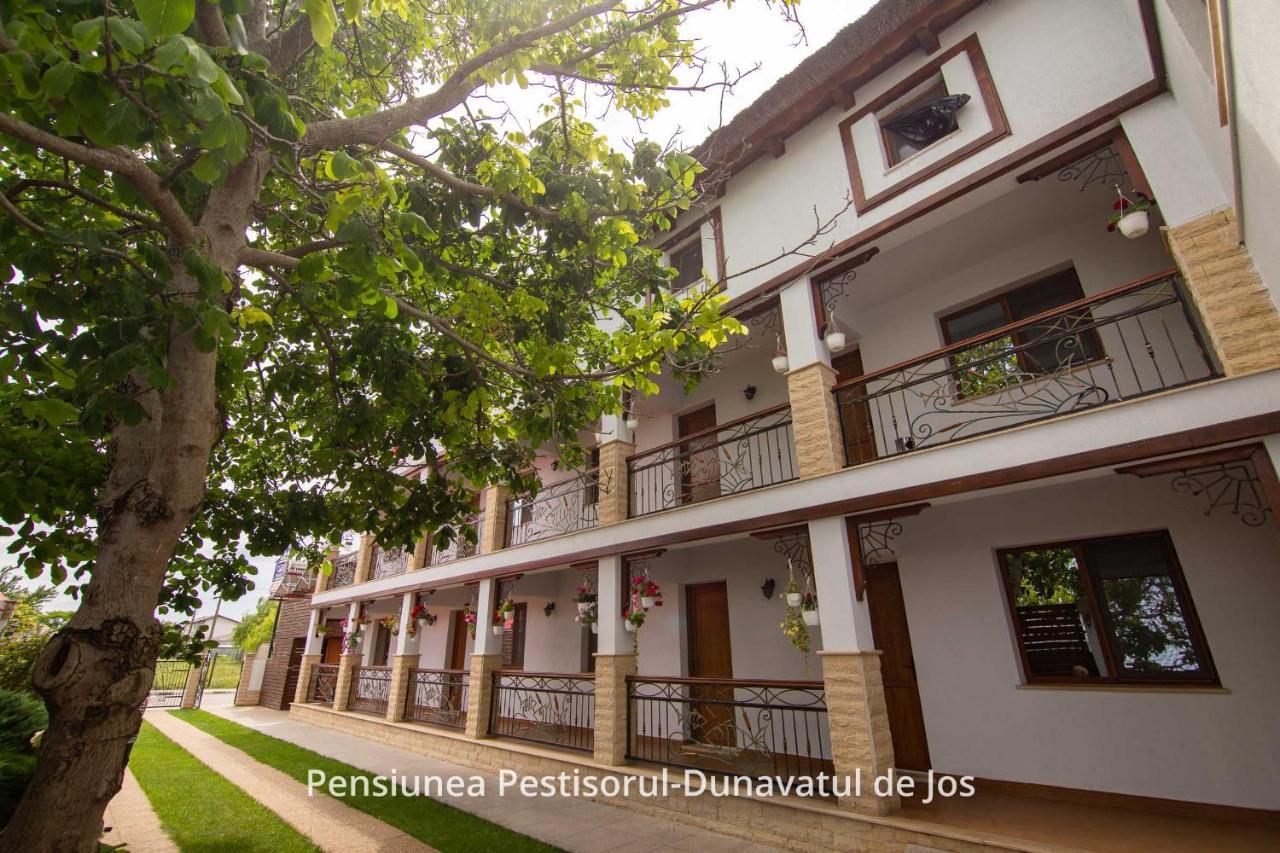 Pensiunea Pestisorul Dunavăţu de Jos 외부 사진