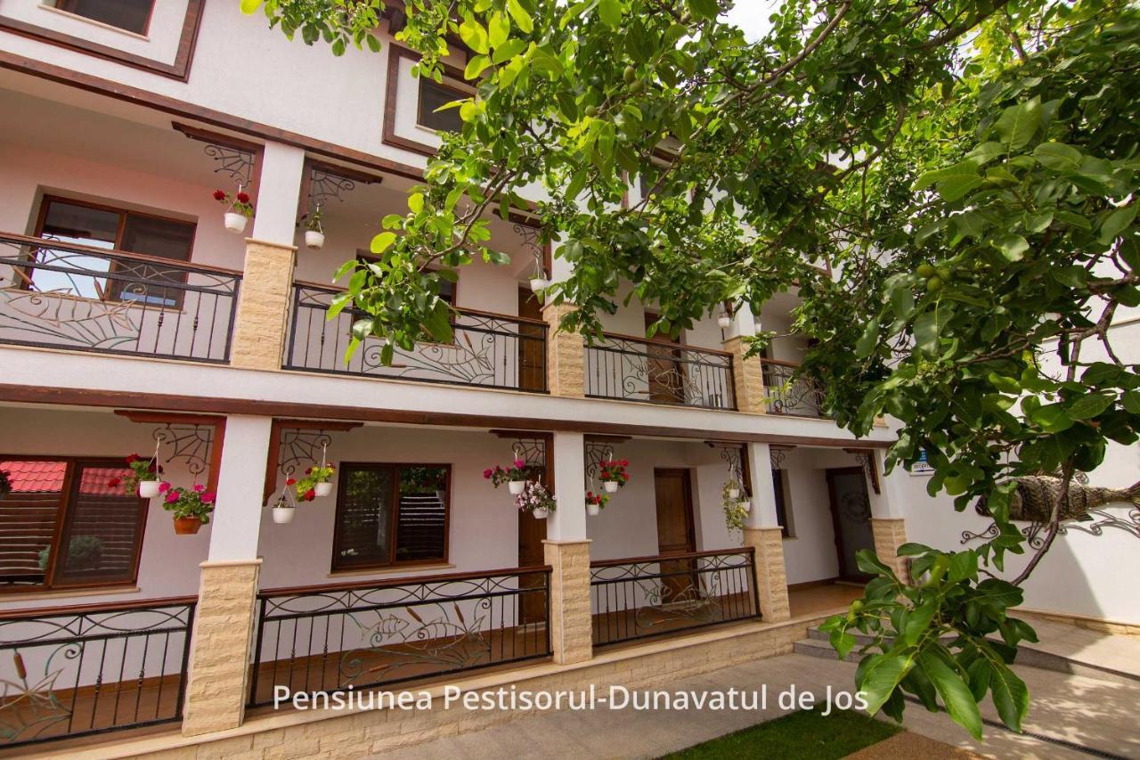 Pensiunea Pestisorul Dunavăţu de Jos 외부 사진