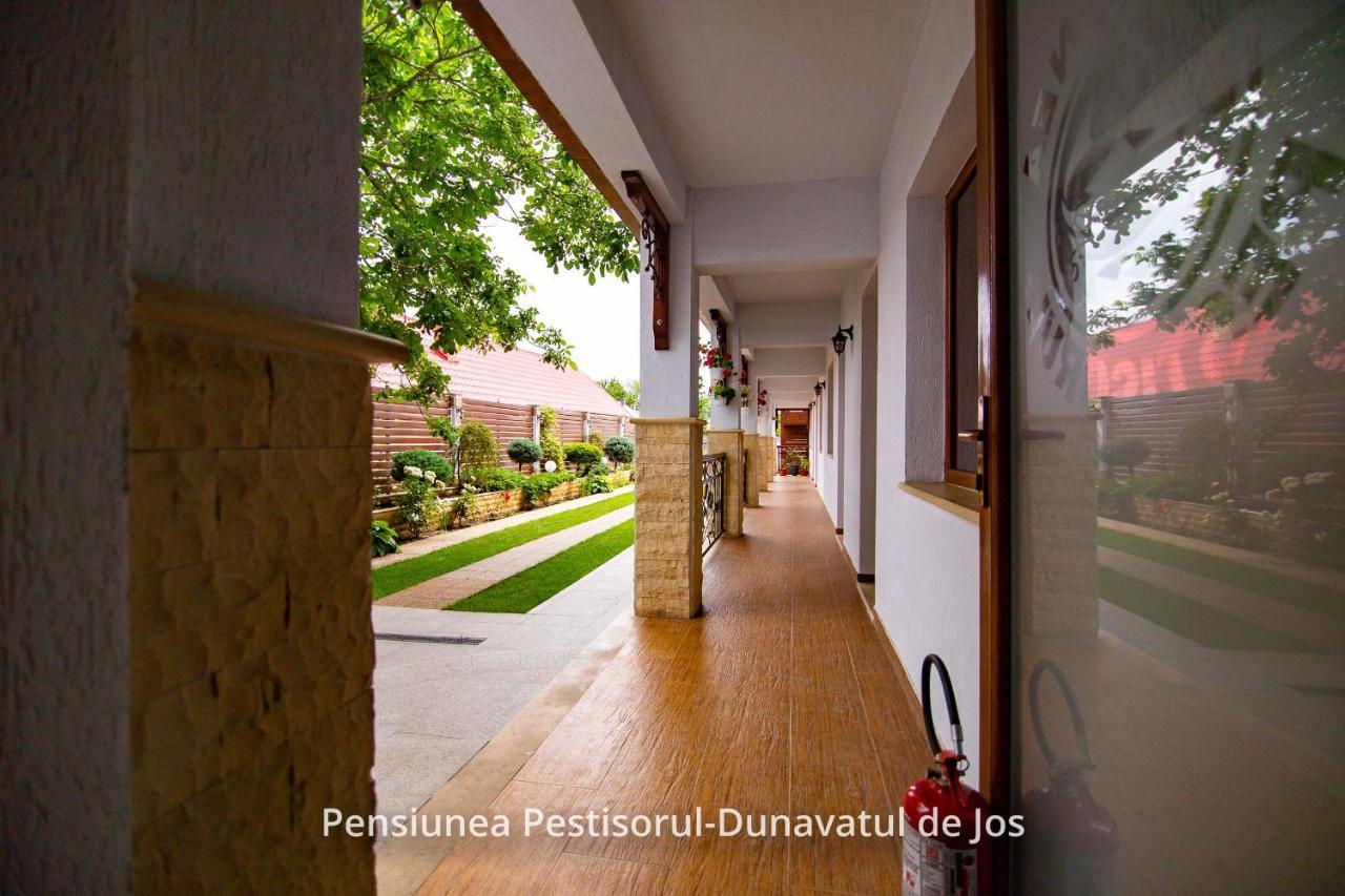 Pensiunea Pestisorul Dunavăţu de Jos 외부 사진