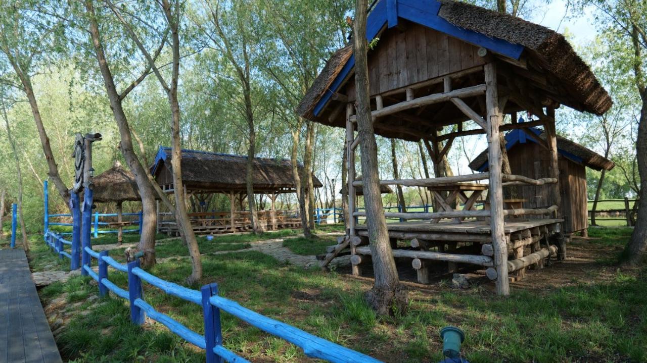Pensiunea Pestisorul Dunavăţu de Jos 외부 사진
